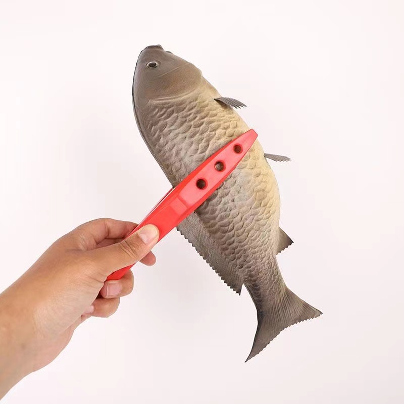 Nuevas pinzas de pesca ABS, pi - Fishing Line Dispenser reseña y precio